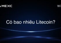 Có bao nhiêu Litecoin?