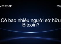 Có bao nhiêu người sở hữu Bitcoin?
