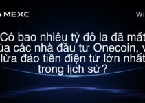 Có bao nhiêu tỷ đô la đã mất của các nhà đầu tư Onecoin, vụ lừa đảo tiền điện tử lớn nhất trong lịch sử?
