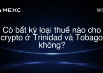 Có bất kỳ loại thuế nào cho crypto ở Trinidad và Tobago không?