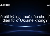 Có bất kỳ loại thuế nào cho tiền điện tử ở Ukraine không?