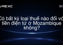Có bất kỳ loại thuế nào đối với tiền điện tử ở Mozambique không?