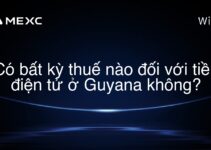 Có bất kỳ thuế nào đối với tiền điện tử ở Guyana không?