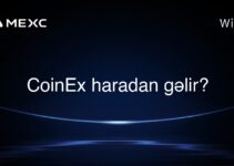 CoinEx haradan gəlir?