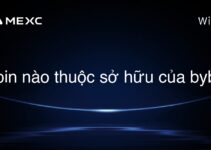 coin nào thuộc sở hữu của bybit