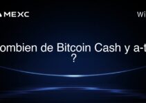 Combien de Bitcoin Cash y a-t-il ?