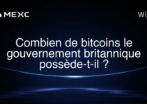 Combien de bitcoins le gouvernement britannique possède-t-il ?