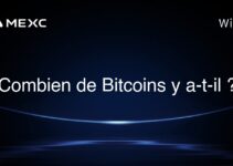 Combien de Bitcoins y a-t-il ?