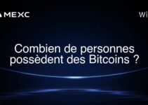 Combien de personnes possèdent des Bitcoins ?