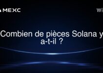 Combien de pièces Solana y a-t-il ?
