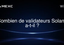 Combien de validateurs Solana a-t-il ?