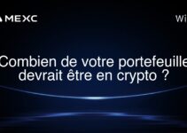 Combien de votre portefeuille devrait être en crypto ?