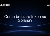Come bruciare token su Solana?