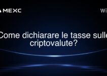 Come dichiarare le tasse sulle criptovalute?