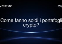 Come fanno soldi i portafogli crypto?