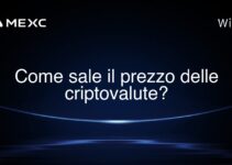 Come sale il prezzo delle criptovalute?