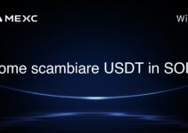 Come scambiare USDT in SOL?