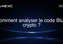 Comment analyser le code Blum crypto ?