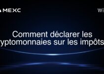 Comment déclarer les cryptomonnaies sur les impôts ?