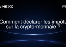 Comment déclarer les impôts sur la crypto-monnaie ?