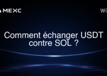 Comment échanger USDT contre SOL ?