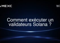 Comment exécuter un validateurs Solana ?