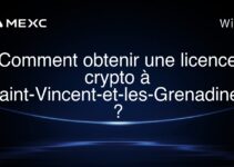 Comment obtenir une licence crypto à Saint-Vincent-et-les-Grenadines ?