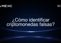 ¿Cómo identificar criptomonedas falsas?