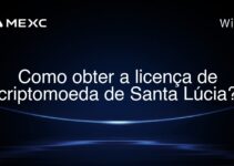 Como obter a licença de criptomoeda de Santa Lúcia?