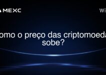 Como o preço das criptomoedas sobe?