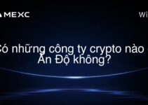 Có những công ty crypto nào ở Ấn Độ không?