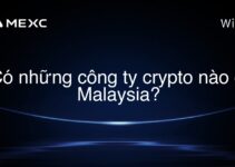 Có những công ty crypto nào ở Malaysia?