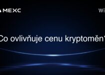 Co ovlivňuje cenu kryptoměn?