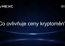 Co ovlivňuje ceny kryptoměn?