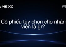 Cổ phiếu tùy chọn cho nhân viên là gì?