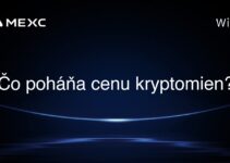 Čo poháňa cenu kryptomien?