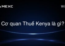 Cơ quan Thuế Kenya là gì?