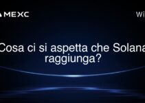 Cosa ci si aspetta che Solana raggiunga?