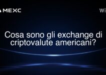 Cosa sono gli exchange di criptovalute americani?