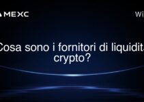 Cosa sono i fornitori di liquidità crypto?