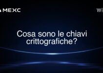 Cosa sono le chiavi crittografiche?