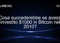 Cosa succederebbe se avessi investito $1000 in Bitcoin nel 2010?