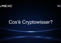 Cos’è Cryptowisser?