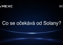 Co se očekává od Solany?