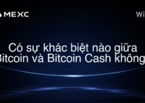 Có sự khác biệt nào giữa Bitcoin và Bitcoin Cash không?