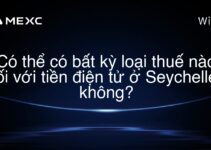 Có thể có bất kỳ loại thuế nào đối với tiền điện tử ở Seychelles không?