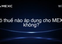 Có thuế nào áp dụng cho MEXC không?
