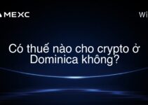 Có thuế nào cho crypto ở Dominica không?