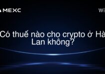 Có thuế nào cho crypto ở Hà Lan không?