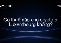 Có thuế nào cho crypto ở Luxembourg không?